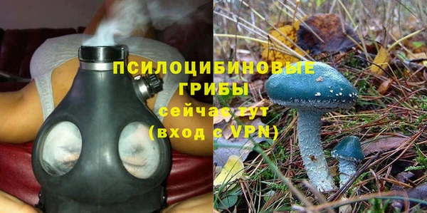стаф Армянск