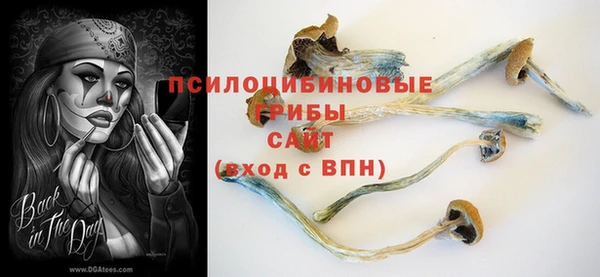 трава Аркадак