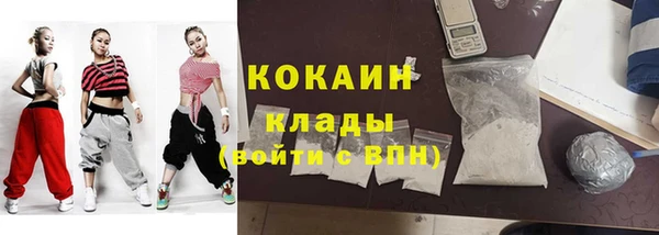 трава Аркадак