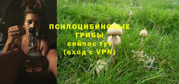 мескалин Арсеньев