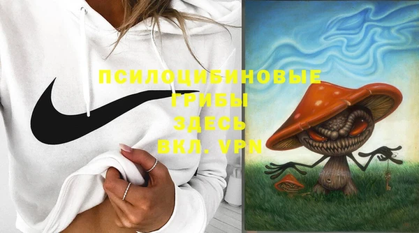 мескалин Арсеньев