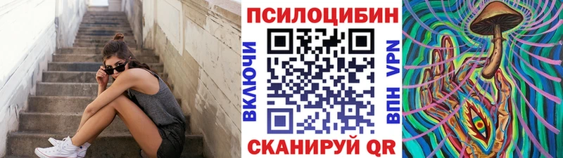 Купить где  Людиново  Галлюциногенные грибы Psilocybine cubensis 